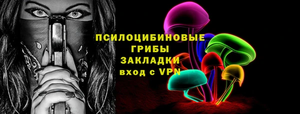 мдпв Арсеньев