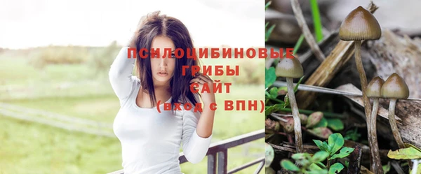 а пвп мука Балабаново