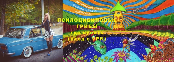 прущие крисы Баксан