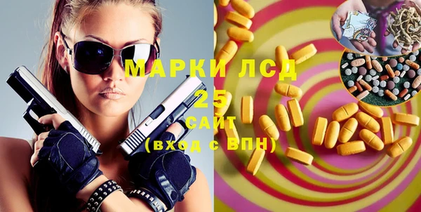 прущие грибы Аркадак